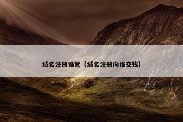 域名注册谁管（域名注册向谁交钱）