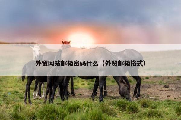 外贸网站邮箱密码什么（外贸邮箱格式）