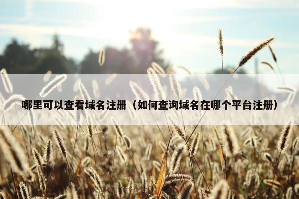 哪里可以查看域名注册（如何查询域名在哪个平台注册）