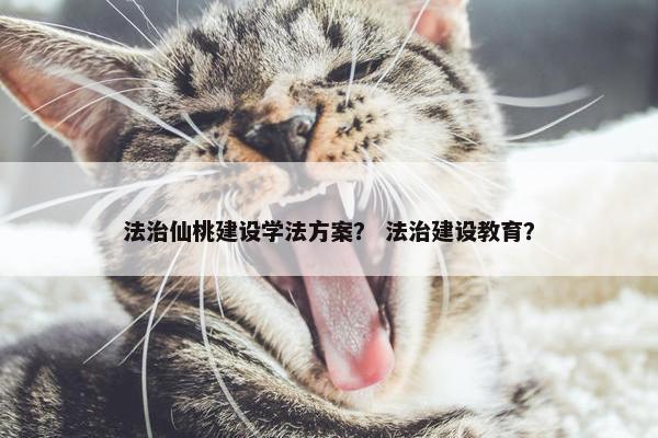 法治仙桃建设学法方案？ 法治建设教育？