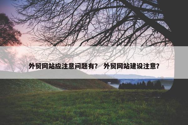 外贸网站应注意问题有？ 外贸网站建设注意？