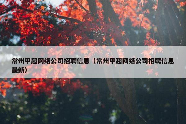 常州甲超网络公司招聘信息（常州甲超网络公司招聘信息最新）