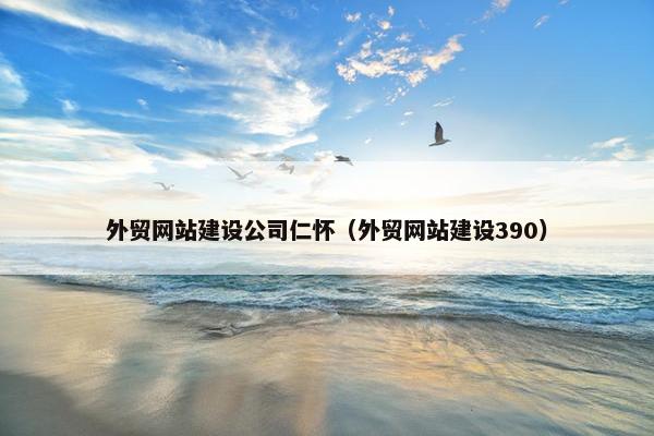 外贸网站建设公司仁怀（外贸网站建设390）