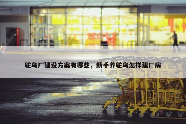 鸵鸟厂建设方案有哪些，新手养鸵鸟怎样建厂房