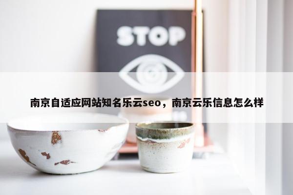 南京自适应网站知名乐云seo，南京云乐信息怎么样