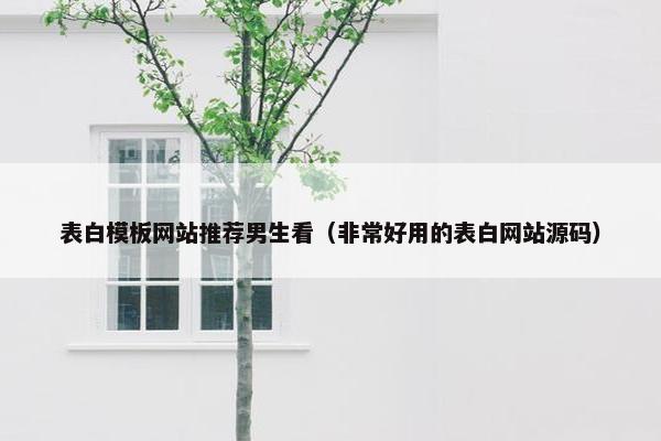 表白模板网站推荐男生看（非常好用的表白网站源码）