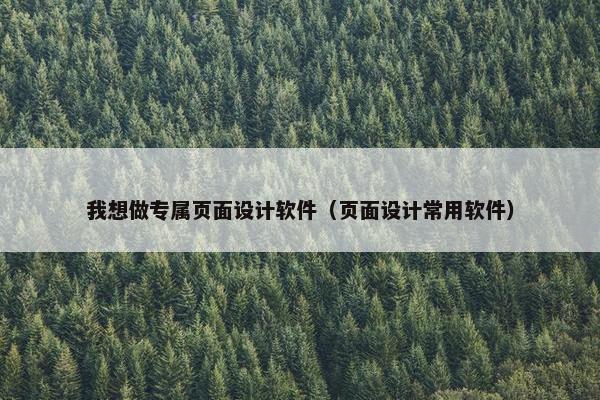 我想做专属页面设计软件（页面设计常用软件）