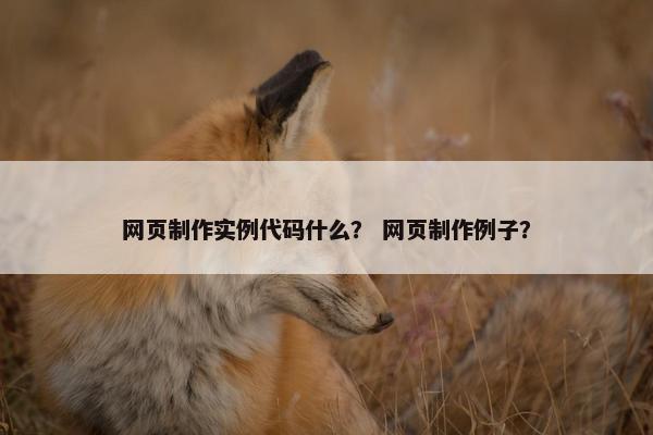 网页制作实例代码什么？ 网页制作例子？