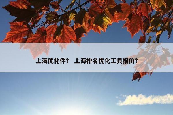 上海优化件？ 上海排名优化工具报价？