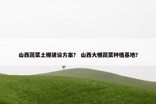 山西蔬菜土棚建设方案？ 山西大棚蔬菜种植基地？