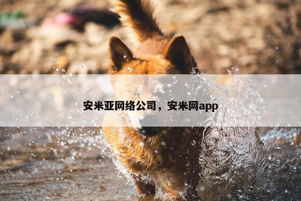 安米亚网络公司，安米网app