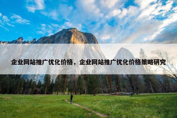 企业网站推广优化价格，企业网站推广优化价格策略研究