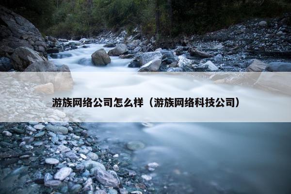游族网络公司怎么样（游族网络科技公司）