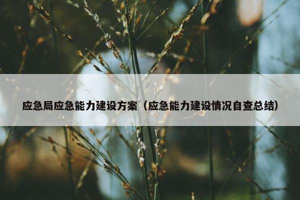 应急局应急能力建设方案（应急能力建设情况自查总结）