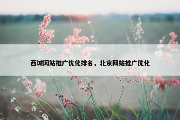 西城网站推广优化排名，北京网站推广优化