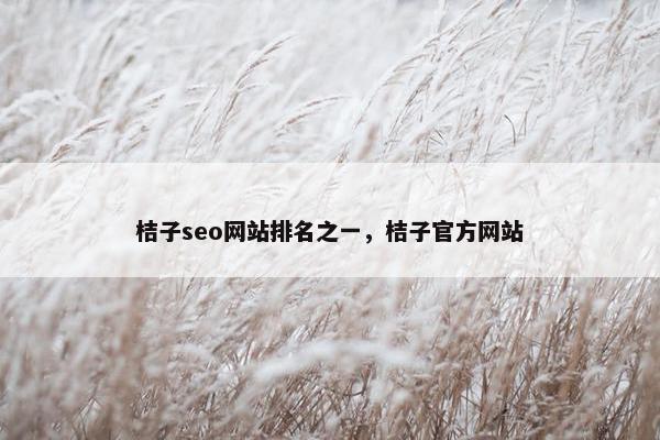 桔子seo网站排名之一，桔子官方网站
