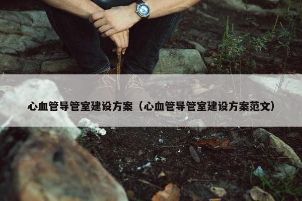 心血管导管室建设方案（心血管导管室建设方案范文）