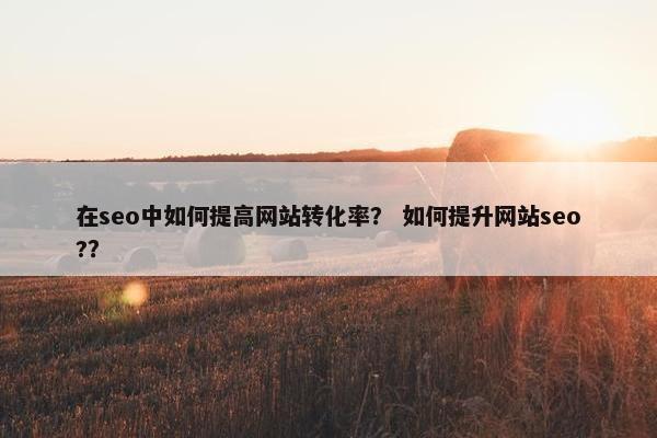 在seo中如何提高网站转化率？ 如何提升网站seo?？