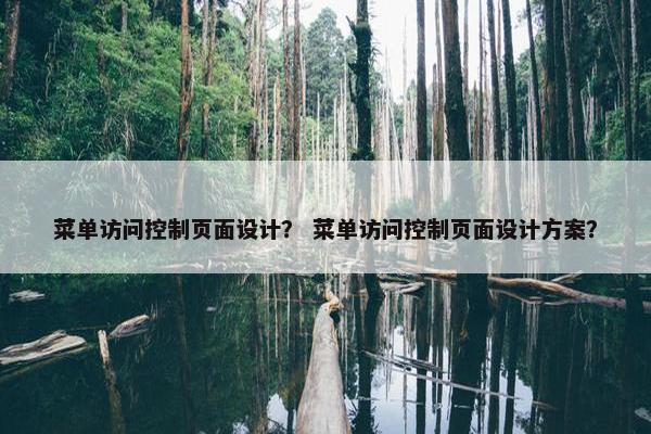 菜单访问控制页面设计？ 菜单访问控制页面设计方案？