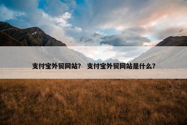 支付宝外贸网站？ 支付宝外贸网站是什么？
