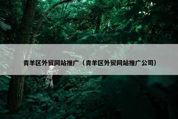 青羊区外贸网站推广（青羊区外贸网站推广公司）