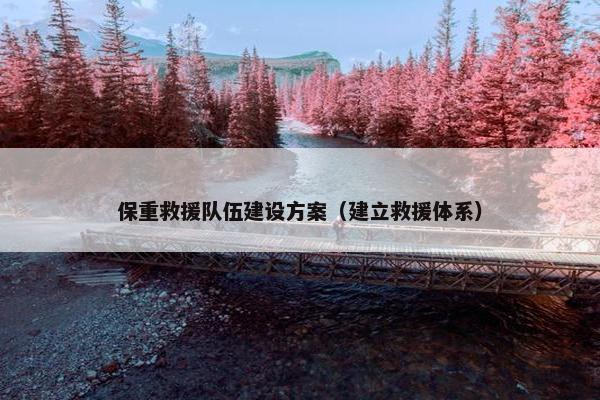 保重救援队伍建设方案（建立救援体系）