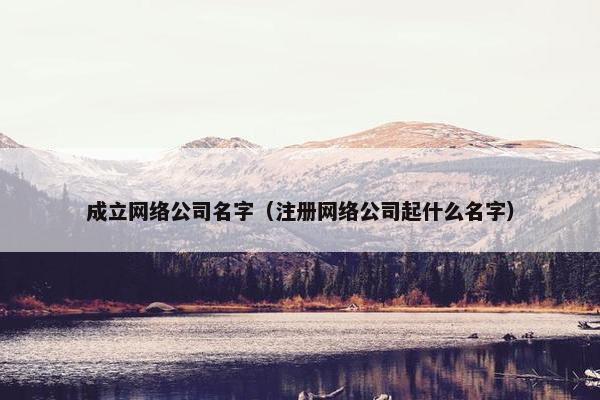 成立网络公司名字（注册网络公司起什么名字）