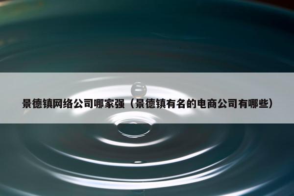 景德镇网络公司哪家强（景德镇有名的电商公司有哪些）