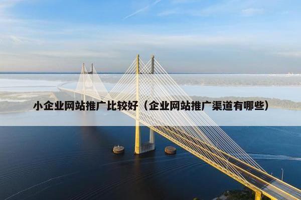 小企业网站推广比较好（企业网站推广渠道有哪些）