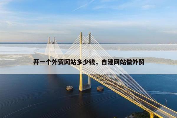 开一个外贸网站多少钱，自建网站做外贸