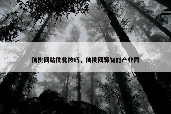 仙桃网站优化技巧，仙桃网驿智能产业园