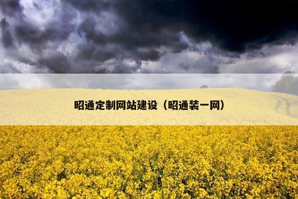 昭通定制网站建设（昭通装一网）