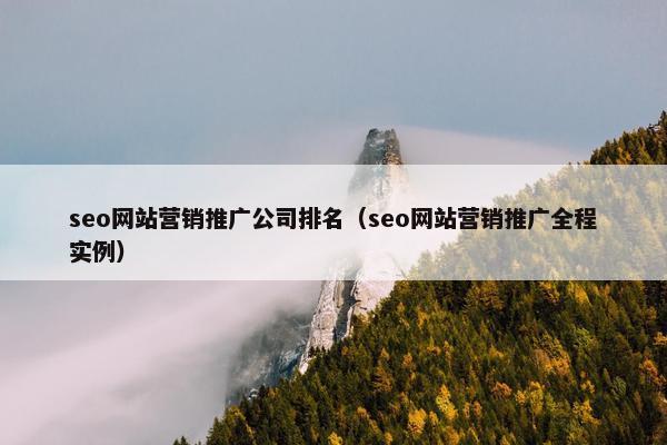 seo网站营销推广公司排名（seo网站营销推广全程实例）