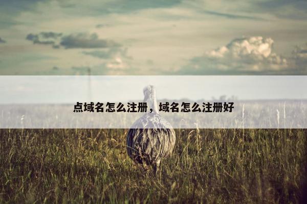 点域名怎么注册，域名怎么注册好