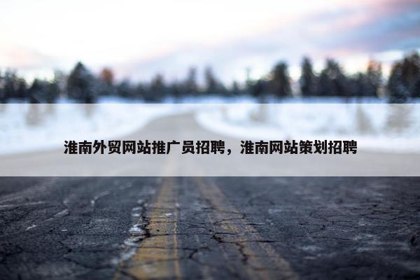 淮南外贸网站推广员招聘，淮南网站策划招聘