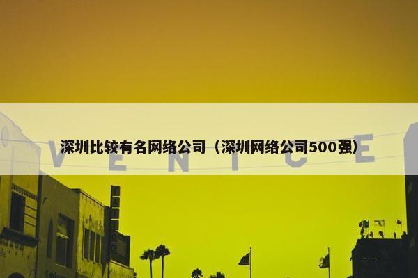 深圳比较有名网络公司（深圳网络公司500强）