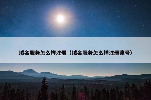 域名服务怎么样注册（域名服务怎么样注册账号）