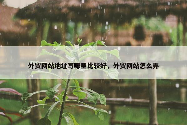 外贸网站地址写哪里比较好，外贸网站怎么弄