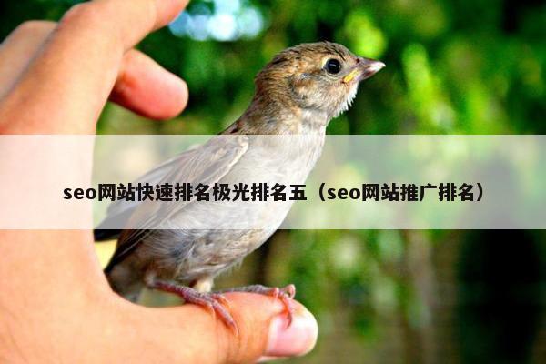 seo网站快速排名极光排名五（seo网站推广排名）