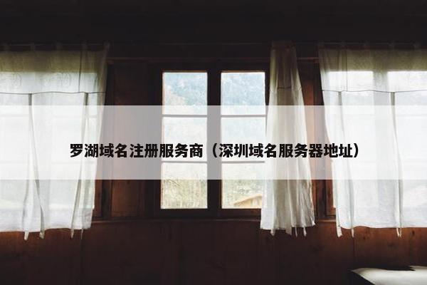 罗湖域名注册服务商（深圳域名服务器地址）