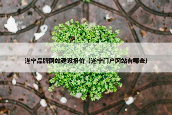 遂宁品牌网站建设报价（遂宁门户网站有哪些）