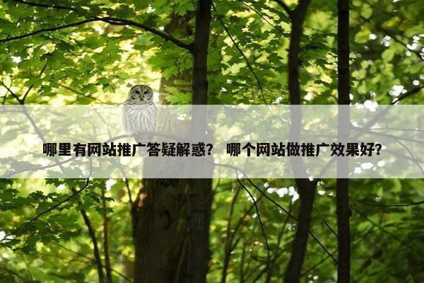哪里有网站推广答疑解惑？ 哪个网站做推广效果好？
