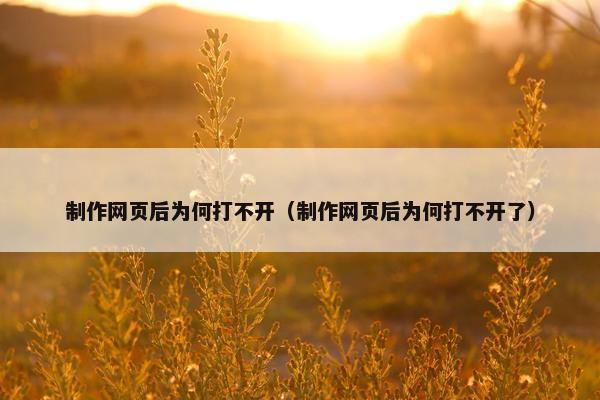 制作网页后为何打不开（制作网页后为何打不开了）