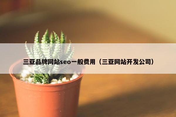 三亚品牌网站seo一般费用（三亚网站开发公司）