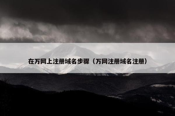 在万网上注册域名步骤（万网注册域名注册）