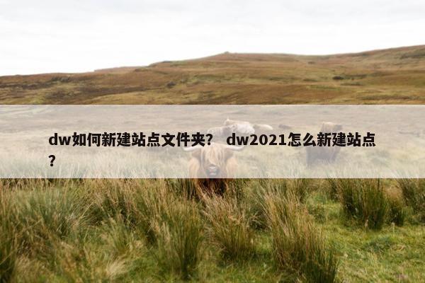 dw如何新建站点文件夹？ dw2021怎么新建站点？