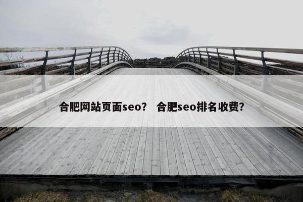 合肥网站页面seo？ 合肥seo排名收费？