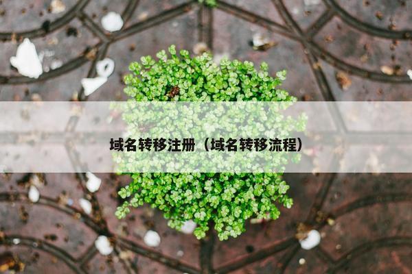 域名转移注册（域名转移流程）
