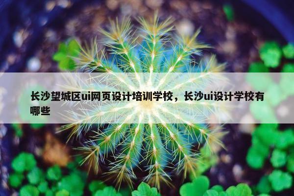 长沙望城区ui网页设计培训学校，长沙ui设计学校有哪些