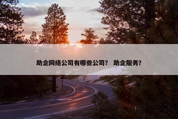 助企网络公司有哪些公司？ 助企服务？